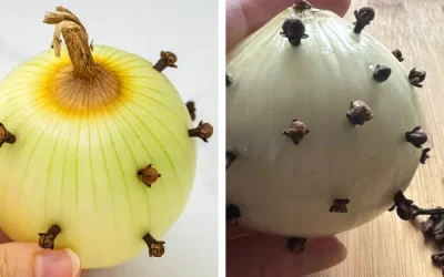 Les incroyables bienfaits de planter des clous de girofle dans un oignon : un remède puissant auquel les gens font toujours confiance