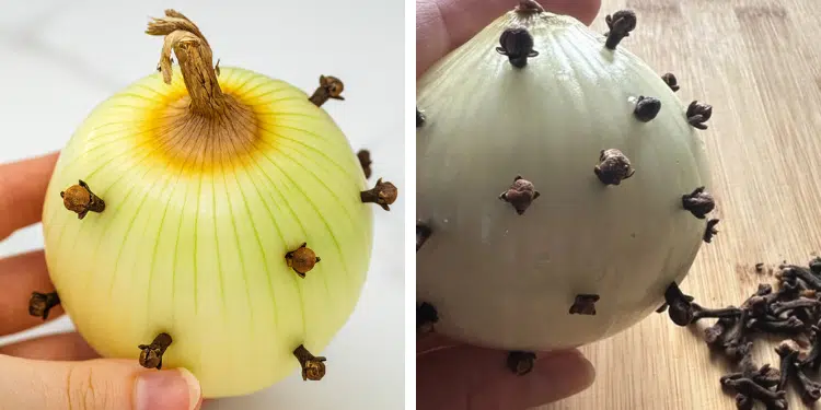 Les incroyables bienfaits de planter des clous de girofle dans un oignon : un remède puissant auquel les gens font toujours confiance