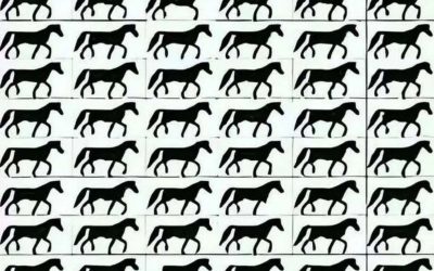 Combien de chevaux à 3 pattes voyez-vous ?