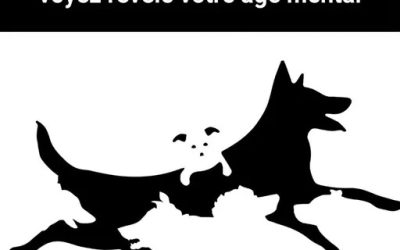 Le nombre de chiens que vous apercevez révélerait votre âge mental..