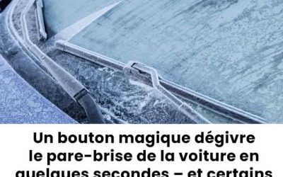 Un bouton magique dégivre le pare-brise en quelques secondes