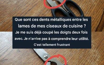 À quoi sert la partie dentelée des ciseaux de cuisine