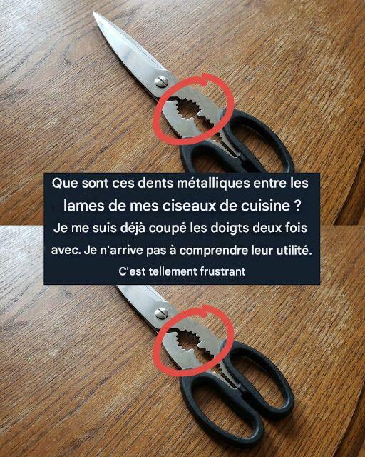 À quoi sert la partie dentelée des ciseaux de cuisine