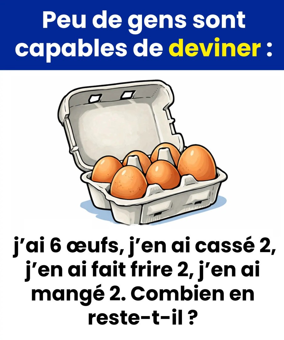 Cette énigme liée aux œufs a laissé plus d’un perplexe