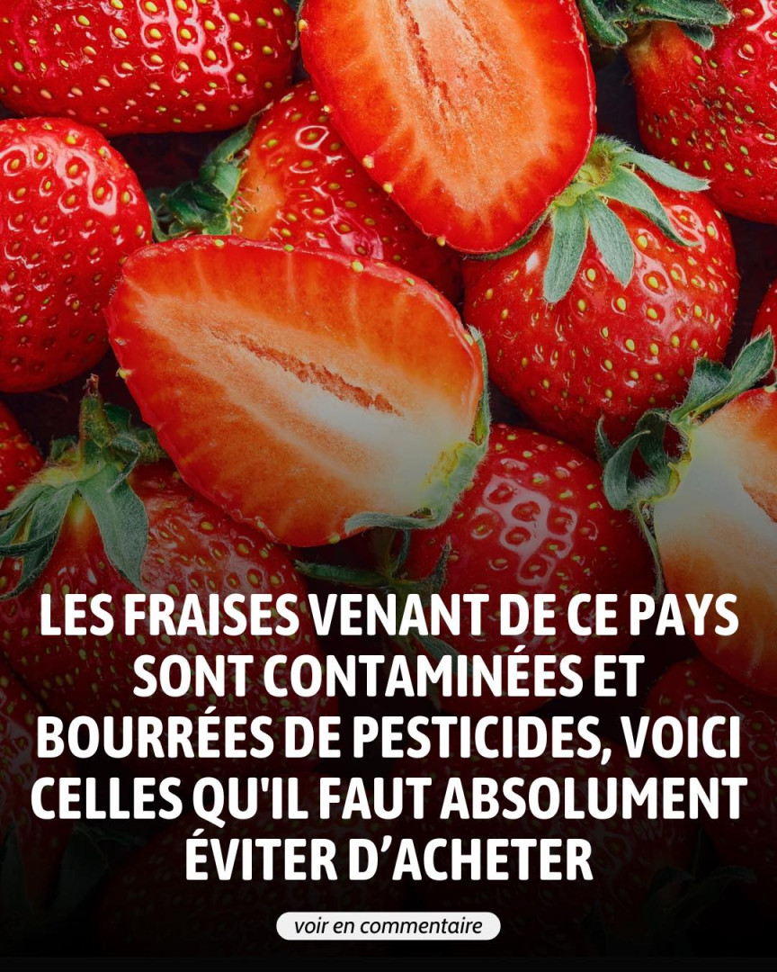 Les fraises de ce pays sont à éviter absolument…Voir plus