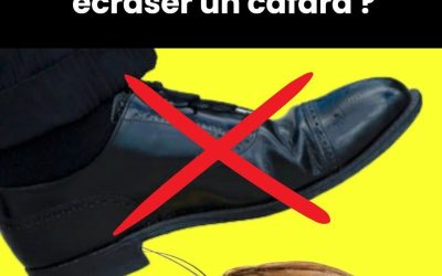 Pourquoi ne faut-il jamais écraser un cafard ??