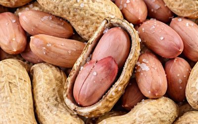 Quels sont les bienfaits des cacahuètes ?