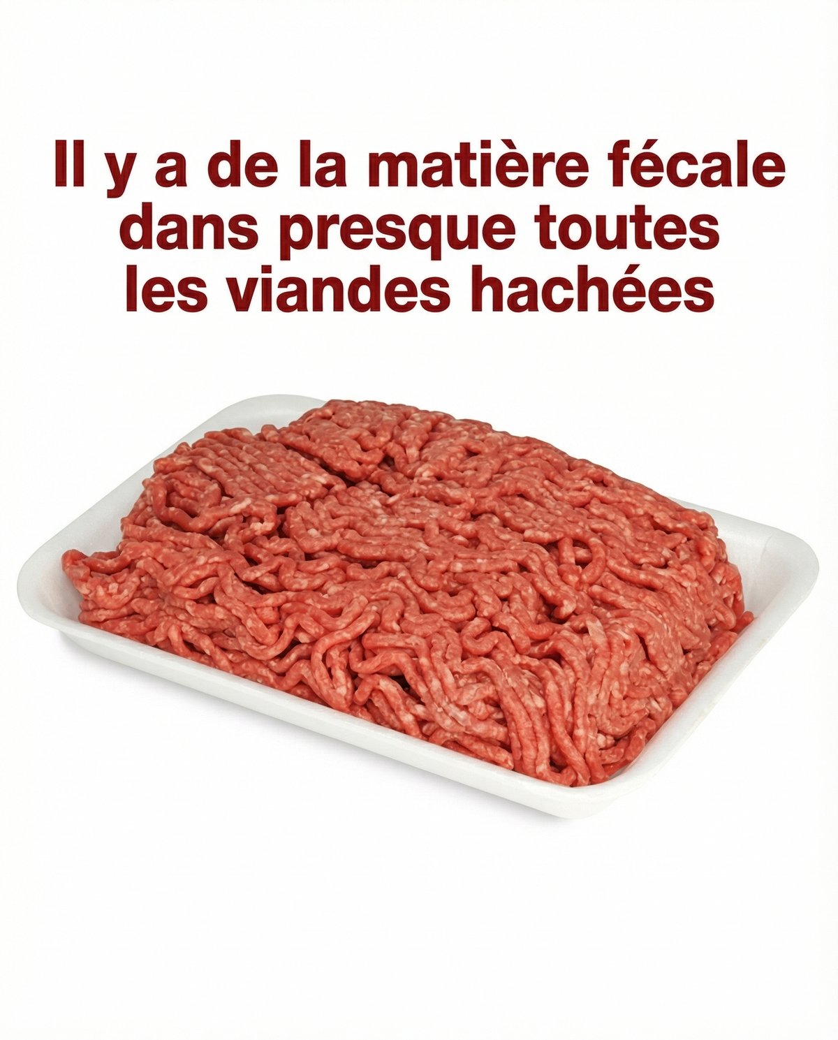 Il y a de la matière fécale dans presque toutes les viandes hachées