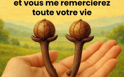 Commencez à manger deux clous de girofle par jour et vous me remercierez toute votre vie