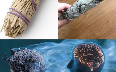 Brûler de la sauge : qu’est-ce que c’est, comment le faire et pourquoi cela peut vous aider