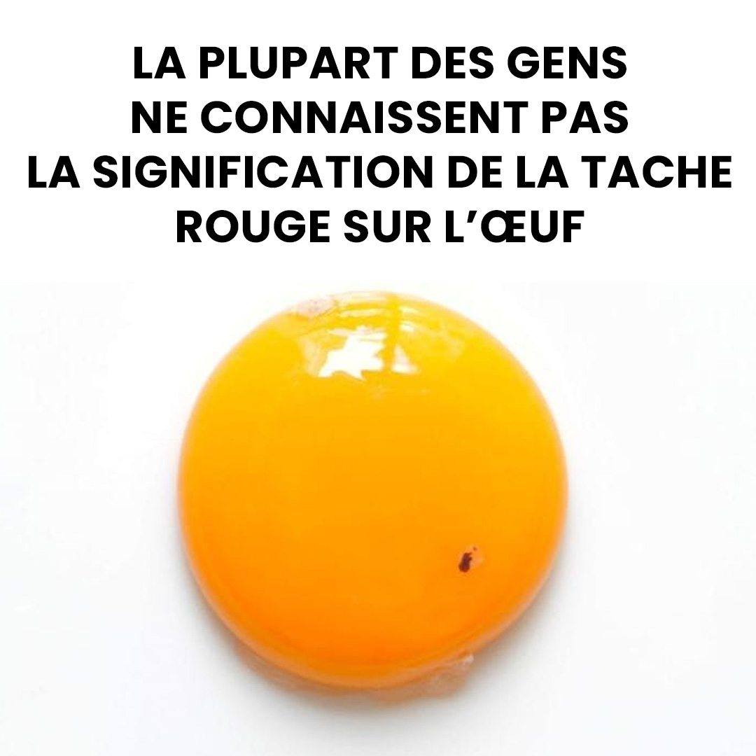 Œufs tachetés de rouge : ce qu’il faut vraiment savoir sur ces marques surprenantes