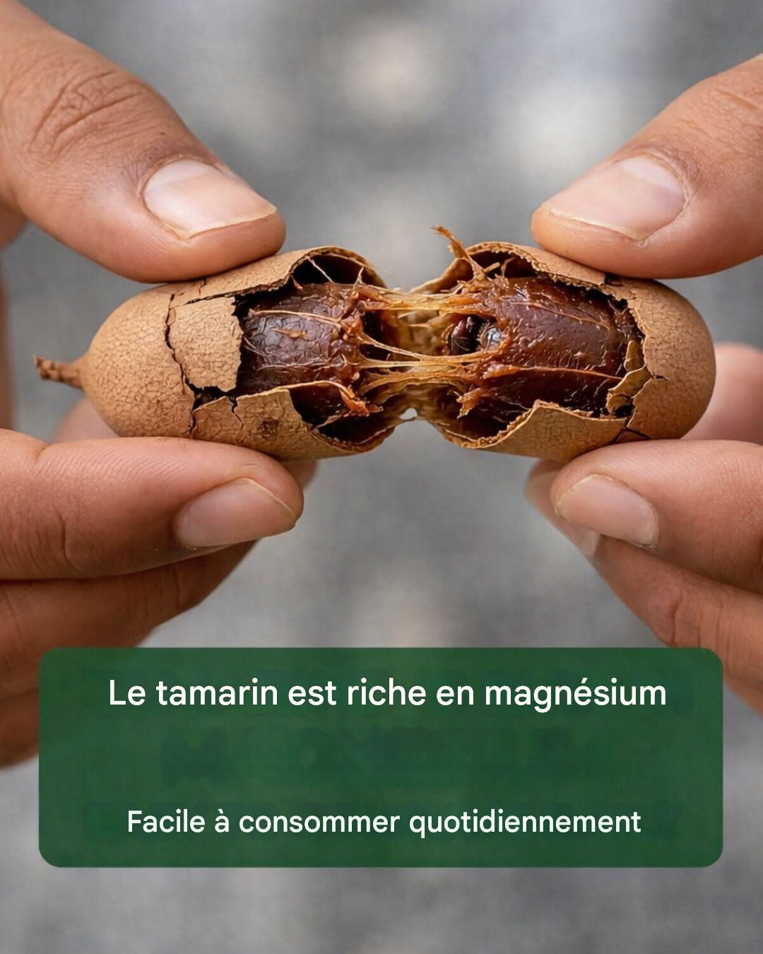 Tamarin : Petit fruit, grands bienfaits pour la santé à connaître