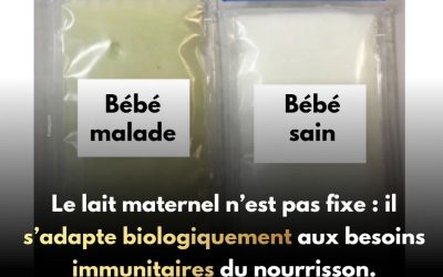“Le lait maternel n’est pas fixe : il s’adapte biologiquement aux besoins immunitaires du nourrisson.”