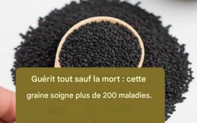 Contemplez la puissante graine qui résout tout sauf la mort.