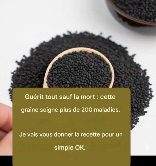 Contemplez la puissante graine qui résout tout sauf la mort.