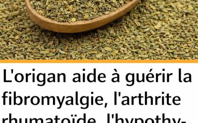 Le thym détruit les infections de la gorge, la grippe, combat les infections respiratoires