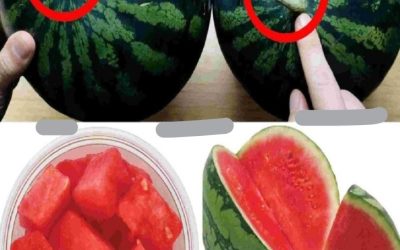 Comment Choisir Une Pastèque Parfaitement Sucrée : Astuces Pour UN Fruit Juteux Et Savoureux