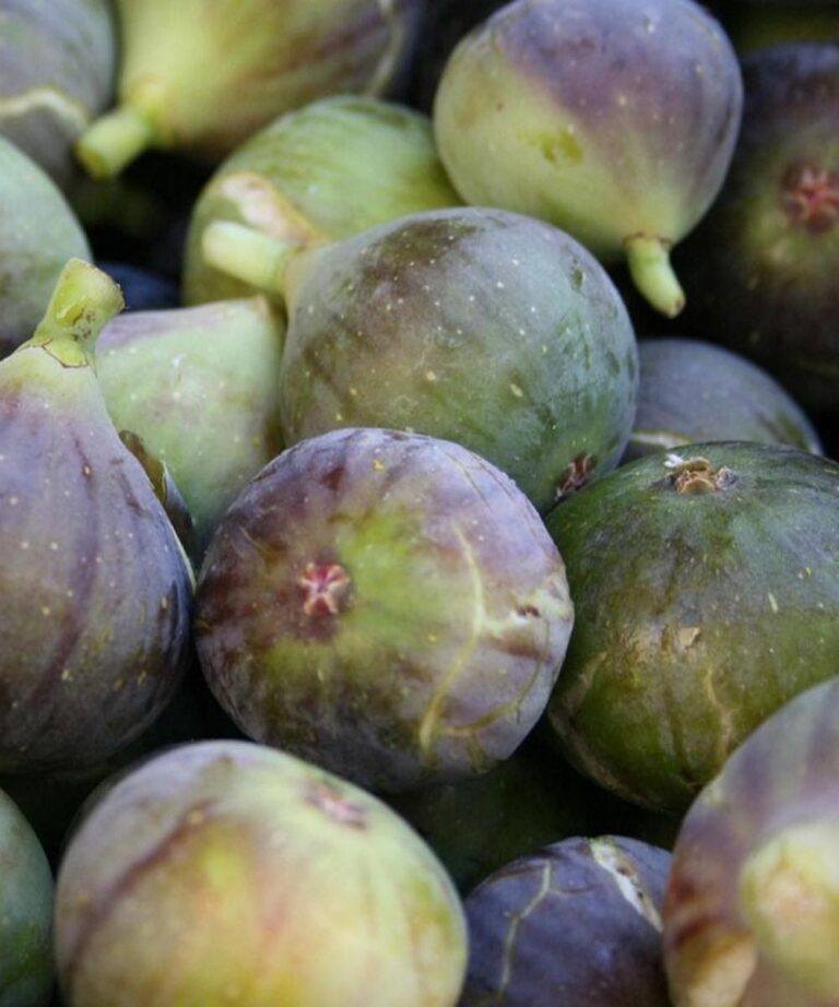 Les figues aident à soulager les douleurs au dos, à la colonne vertébrale et aux genoux.