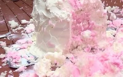Ma belle-mère a « accidentellement » laissé tomber le gâteau lors de la fête de révélation du sexe de son bébé, mais son sourire disait le contraire.