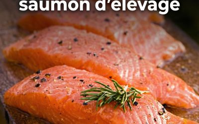 Saumon : la Norvège reconnaît que son poisson est dangereux pour la santé