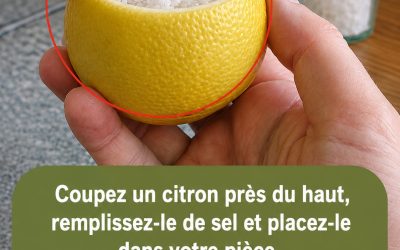 Voici comment préparer une infusion d’écorces de citron bouillies (également appelée eau aux écorces de citron)