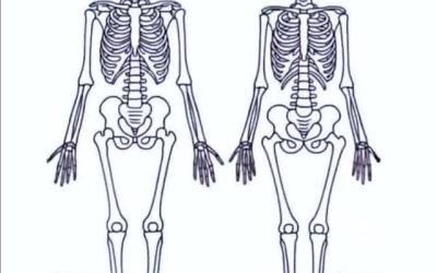 Which one is a woman???