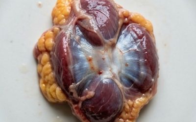 Saviez-vous que si vous mangez des gésiers de poulet, vous n’avez pas besoin de prendre… Voir plus.