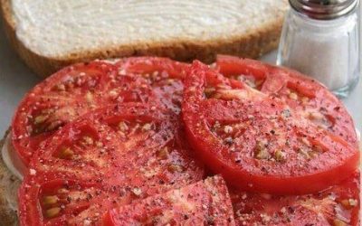 The Summer Purist: Mastering the Perfect Tomato Sandwich