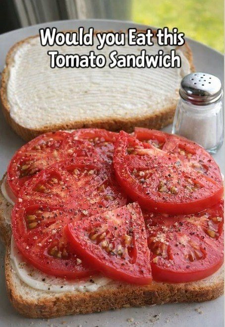 The Summer Purist: Mastering the Perfect Tomato Sandwich