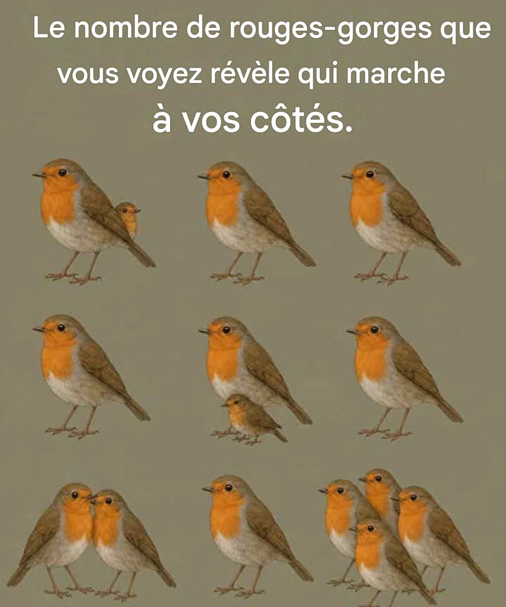 Le nombre de rouges-gorges que vous voyez révèle qui marche à vos côtés.