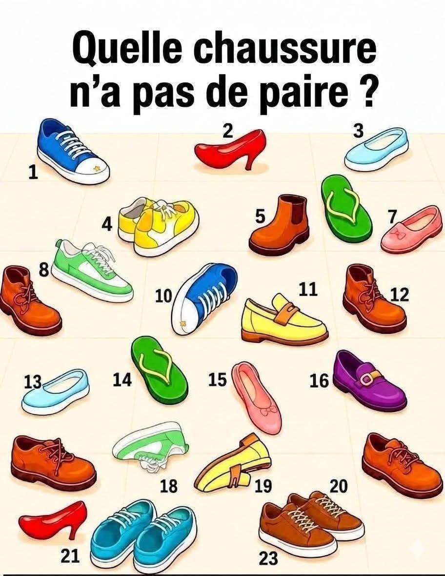 Quelle chaussure n’a pas de paire ? Le défi qui piège presque tout le monde Regarde le lien pour réponse
