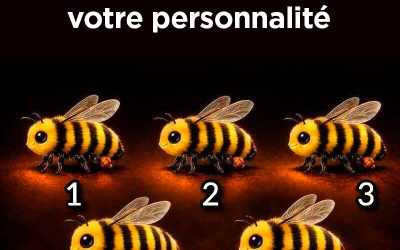 L’abeille que vous choisirez en dit long sur votre personnalité