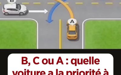 Quelle est la voiture prioritaire dans ce genre d’intersection ?