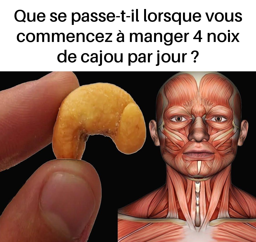Que se passe-t-il lorsque vous commencez à manger 4 noix de cajou par jour ?