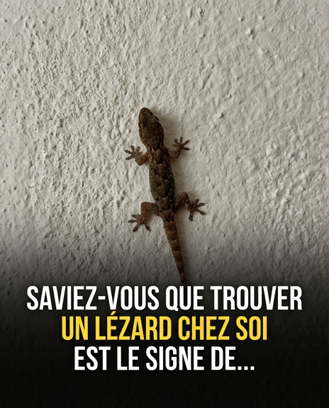 Que signifie la présence d’un lézard chez soi ? La vérité surprenante