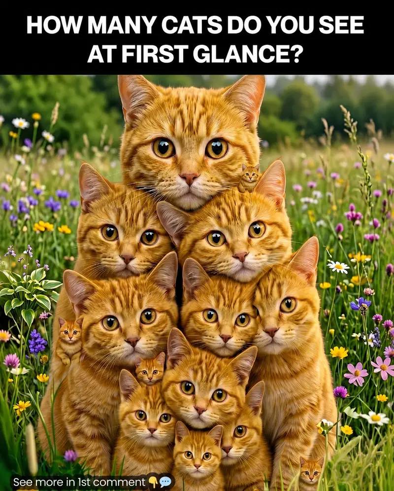 Découvrez votre personnalité en fonction du nombre de chats que vous pouvez repérer.