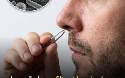 Les poils du nez filtrent les microbes ; les arracher peut parfois entraîner des infections graves.