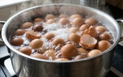 Pourquoi faut-il faire bouillir des coquilles d’oeufs ?