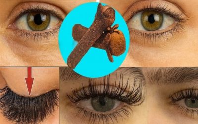 L’astuce beauté des grands-mères : des sourcils épais et des cils longs en 7 jours grâce au clou de girofle