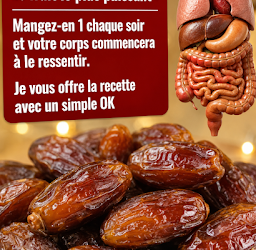 Consommer trois dattes par jour : effets sur votre santé, recettes et tout ce qu’il faut savoir.