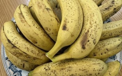 Des médecins révèlent que manger des bananes dès le matin provoque…