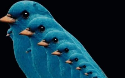 🧩 Combien d’oiseaux peux-tu voir ?Clic sur le lien pour voir le résultat