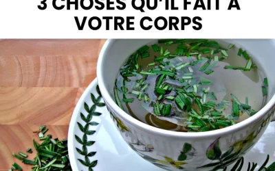 Le romarin : 3 vertus méconnues de cette herbe aromatique