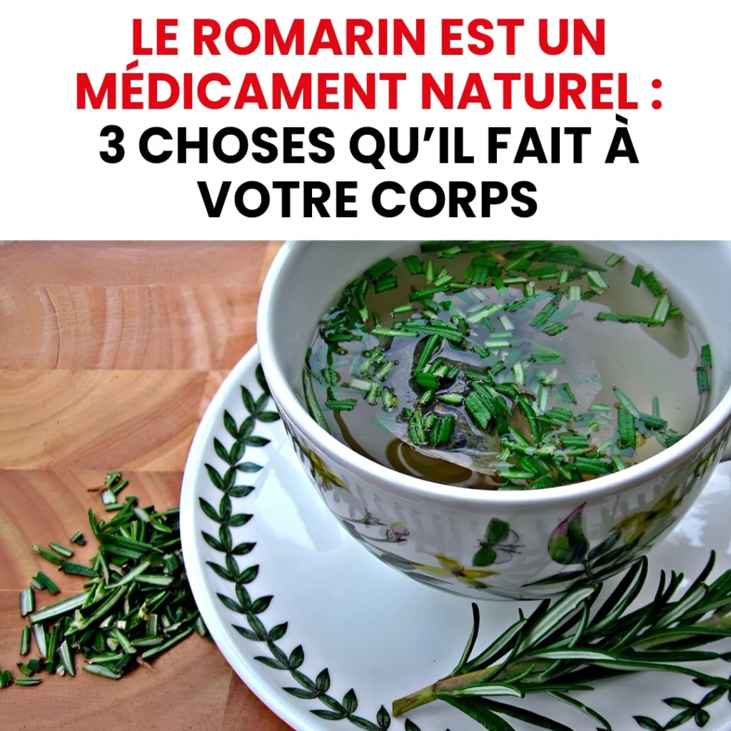 Le romarin : 3 vertus méconnues de cette herbe aromatique