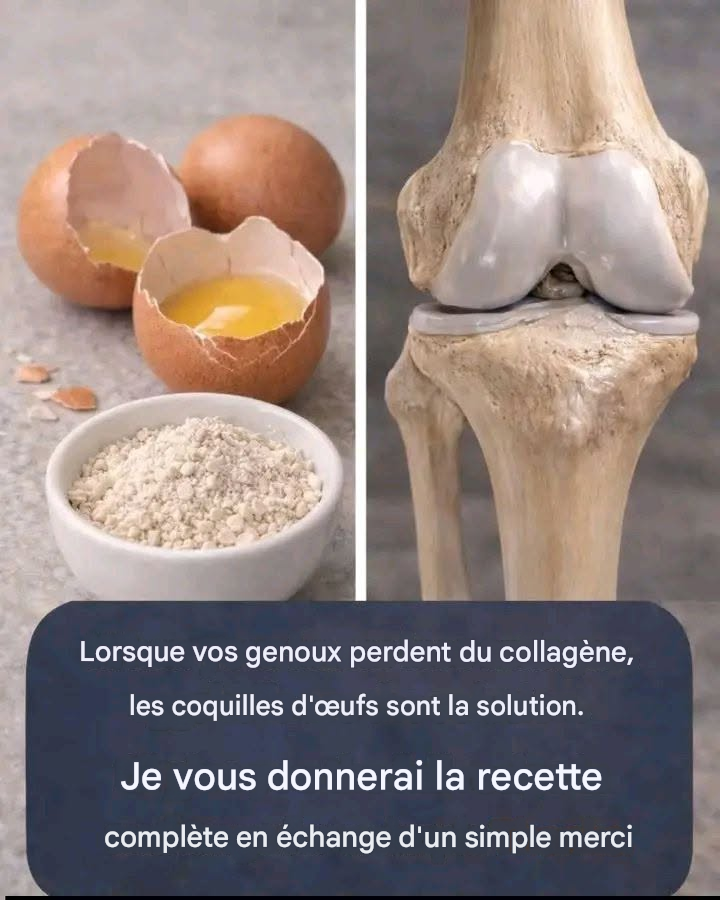 Vous êtes-vous déjà demandé si les coquilles d’œufs du quotidien pourraient soutenir votre confort articulaire de manière simple?