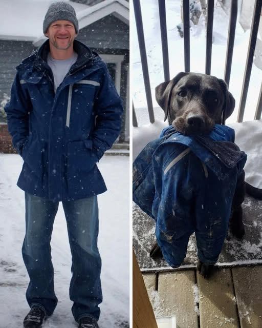 Mon chien m’a rapporté la veste dans laquelle mon mari a disparu il y a des années – je l’ai suivi et je n’en croyais pas mes yeux.