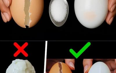 Ne faites pas bouillir les œufs directement dans l’eau – voici comment les hôtels cinq étoiles cuisent leurs œufs !