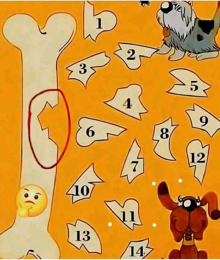 Améliorer le développement cognitif à travers des énigmes visuelles : un examen plus approfondi de la reconnaissance de motifs dans l’apprentissage précoce. Recette complète dans les commentaires.