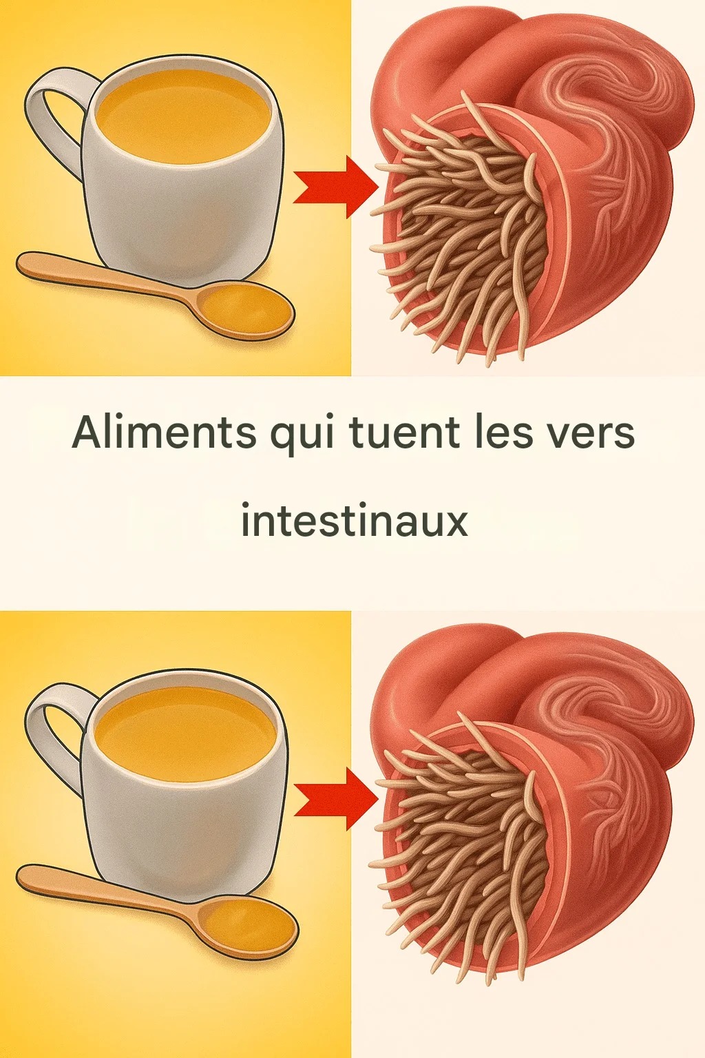 7 aliments qui tuent les vers intestinaux..?