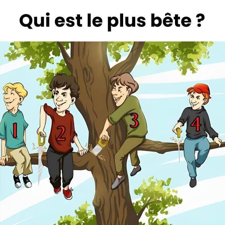 Qui est le plus bête ? 3 4 2